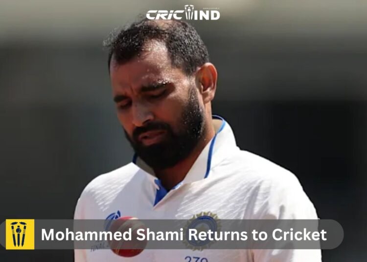 Mohammed Shami Returns to Cricket