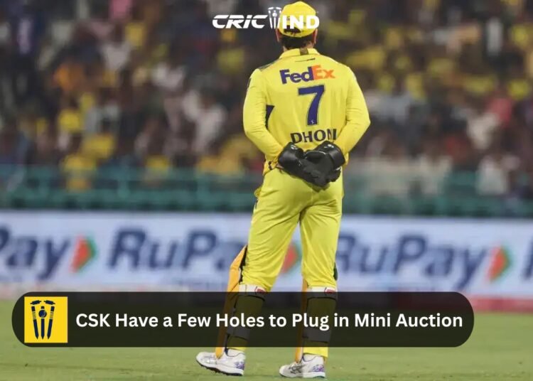 CSK have a few holes to plug in mini auction